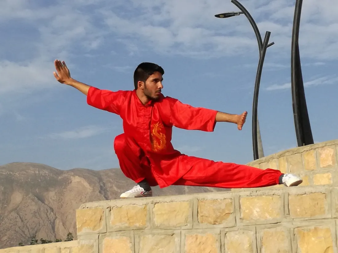 Saoshyant Mansouri performing a Wushu stance